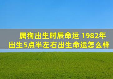 属狗出生时辰命运 1982年出生5点半左右出生命运怎么样